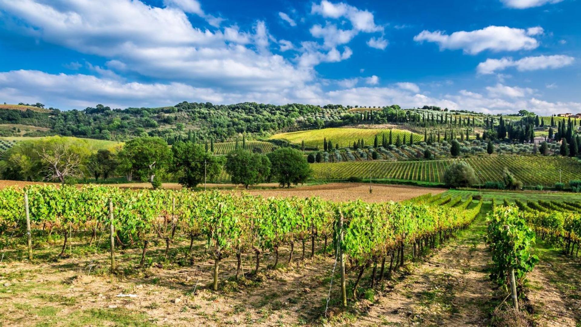 Terre Gialle - La Val D'Orcia Nascosta Кастель-дель-П'яно Екстер'єр фото