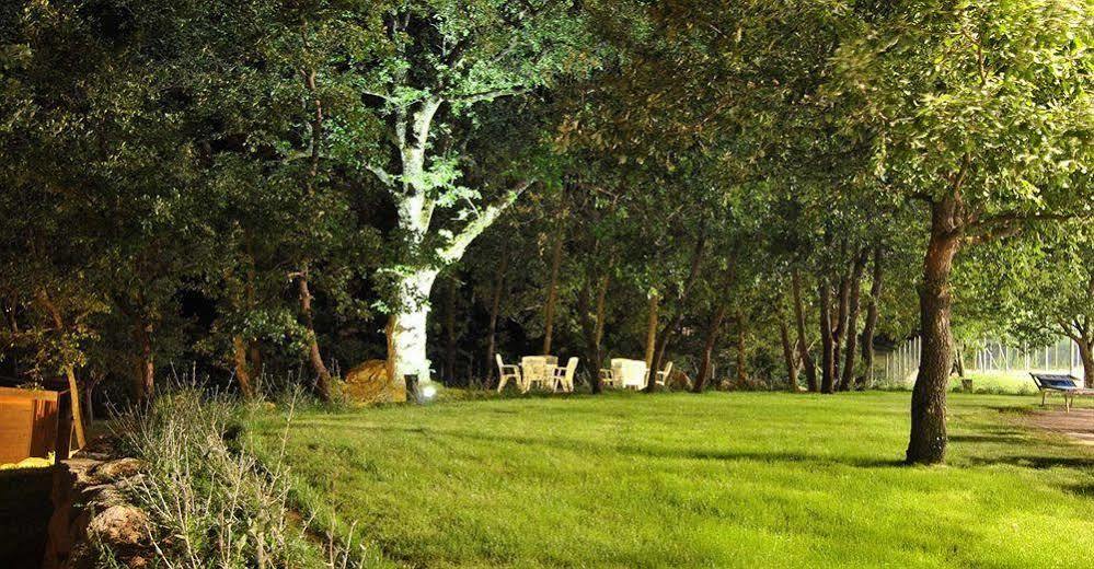 Terre Gialle - La Val D'Orcia Nascosta Кастель-дель-П'яно Екстер'єр фото