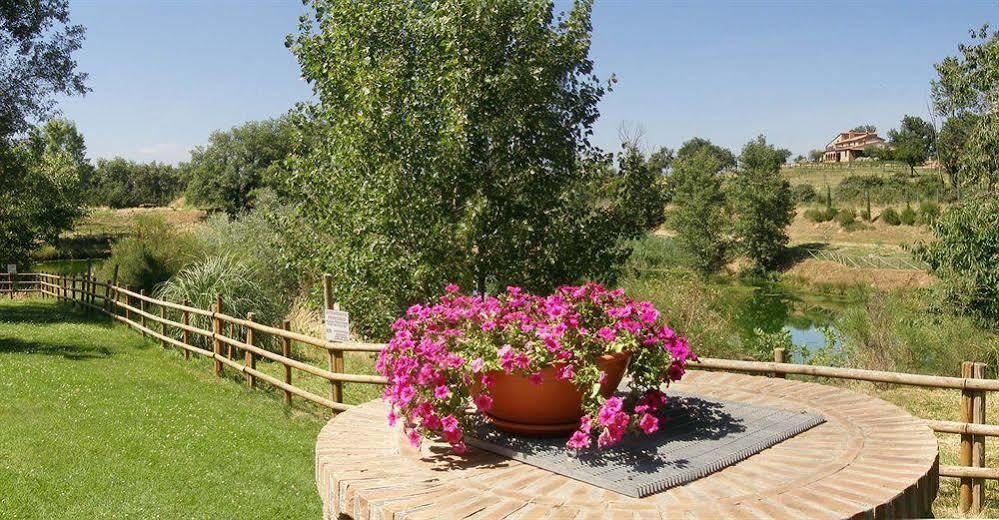 Terre Gialle - La Val D'Orcia Nascosta Кастель-дель-П'яно Екстер'єр фото